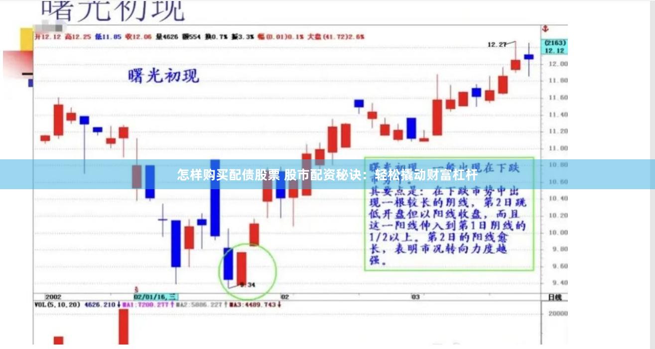 怎样购买配债股票 股市配资秘诀：轻松撬动财富杠杆